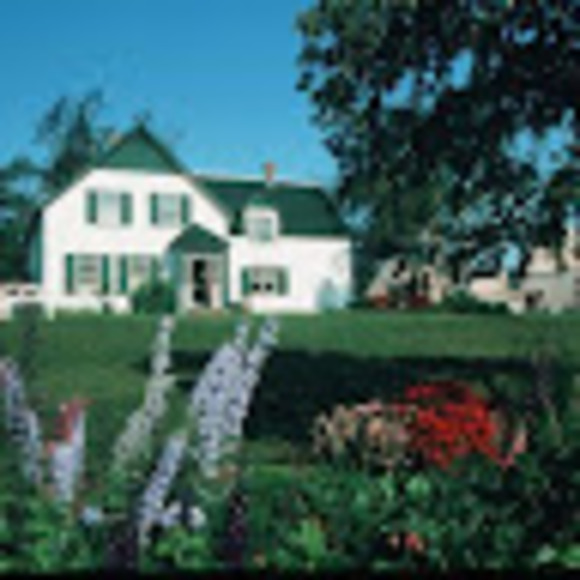 Meet your Posher, Chip - Picture 1 of 1